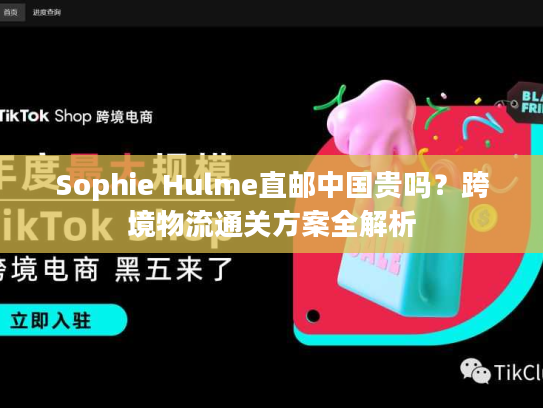 Sophie Hulme直邮中国贵吗？跨境物流通关方案全解析