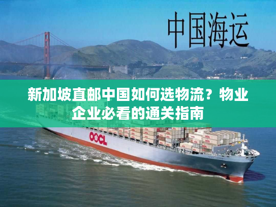 新加坡直邮中国如何选物流？物业企业必看的通关指南
