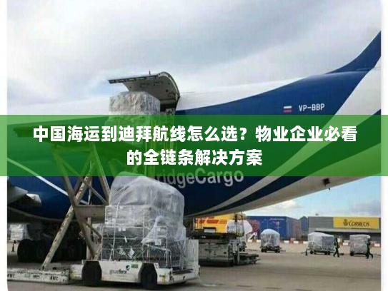 中国海运到迪拜航线怎么选?物业企业必看的全链条解决方案 中国海运到迪拜航线怎么选?物业企业必看的全链条解决方案
