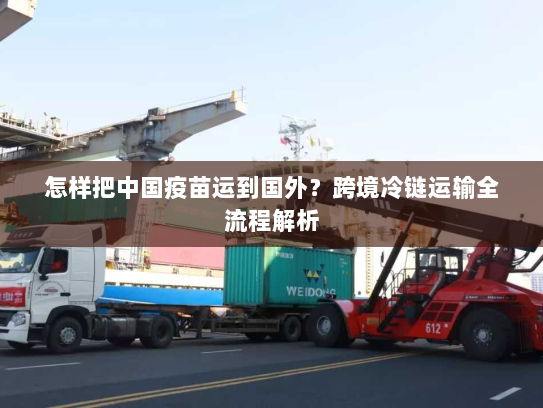 怎样把中国疫苗运到国外?跨境冷链运输全流程解析 怎样把中国疫苗运到国外?跨境冷链运输全流程解析