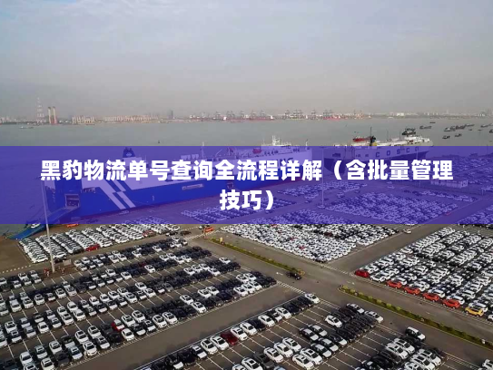 黑豹物流单号查询全流程详解（含批量管理技巧）