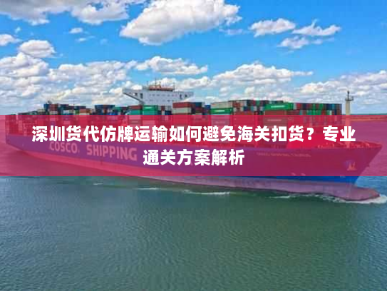 深圳货代仿牌运输如何避免海关扣货?专业通关方案解析 深圳货代仿牌运输如何避免海关扣货?专业通关方案解析