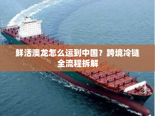 鲜活澳龙怎么运到中国？跨境冷链全流程拆解