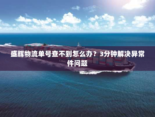 盛辉物流单号查不到怎么办?3分钟解决异常件问题 盛辉物流单号查不到怎么办?3分钟解决异常件问题