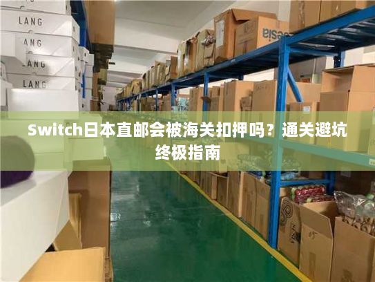 Switch日本直邮会被海关扣押吗？通关避坑终极指南