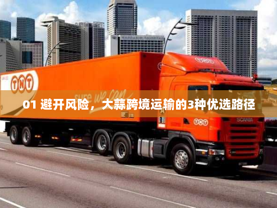 01 避开风险,大蒜跨境运输的3种优选路径 01 避开风险,大蒜跨境运输的3种优选路径