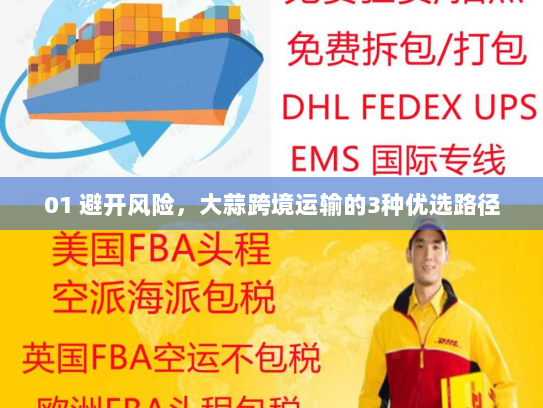 01 避开风险,大蒜跨境运输的3种优选路径 01 避开风险,大蒜跨境运输的3种优选路径