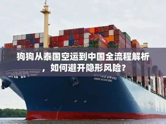 狗狗从泰国空运到中国全流程解析，如何避开隐形风险？
