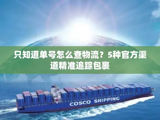 只知道单号怎么查物流？5种官方渠道精准追踪包裹
