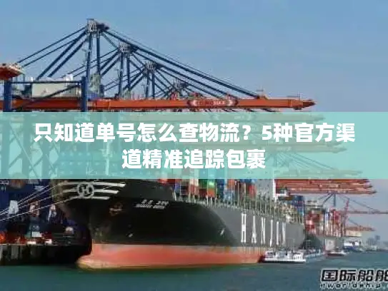 只知道单号怎么查物流？5种官方渠道精准追踪包裹