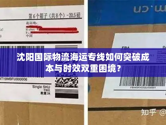 沈阳国际物流海运专线如何突破成本与时效双重困境？