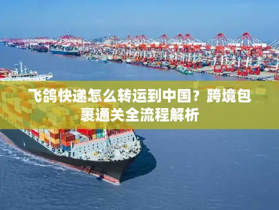 飞鸽快递怎么转运到中国？跨境包裹通关全流程解析
