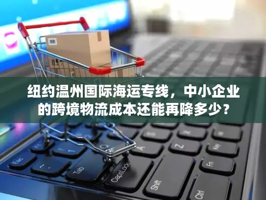 纽约温州国际海运专线，中小企业的跨境物流成本还能再降多少？