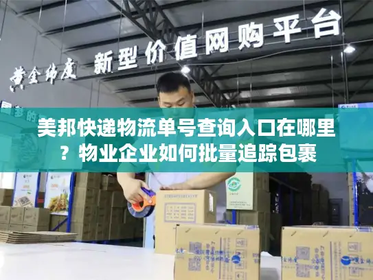 美邦快递物流单号查询入口在哪里？物业企业如何批量追踪包裹