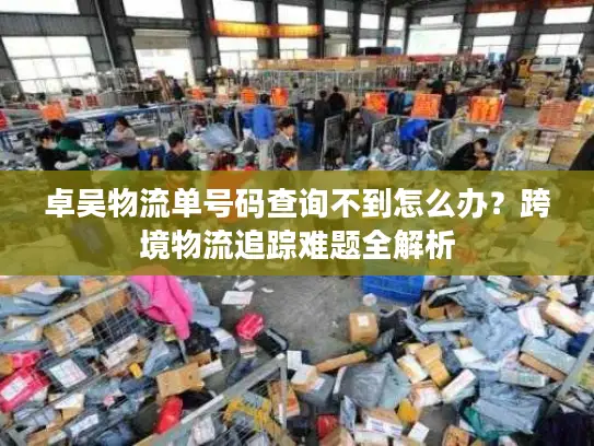 卓吴物流单号码查询不到怎么办？跨境物流追踪难题全解析