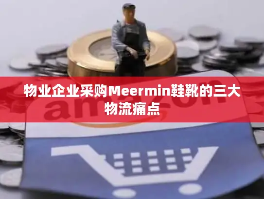 物业企业采购Meermin鞋靴的三大物流痛点
