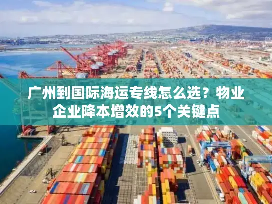 广州到国际海运专线怎么选？物业企业降本增效的5个关键点