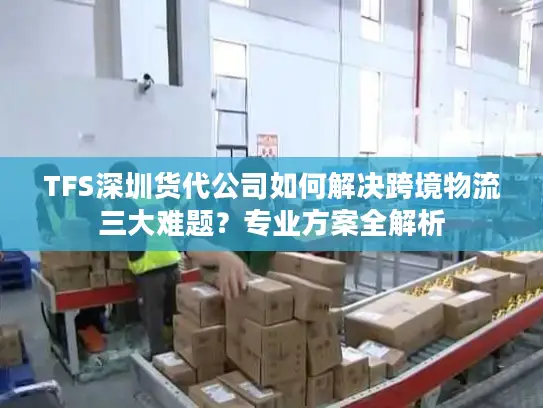 TFS深圳货代公司如何解决跨境物流三大难题？专业方案全解析