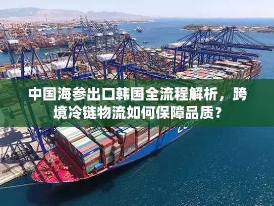 中国海参出口韩国全流程解析，跨境冷链物流如何保障品质？