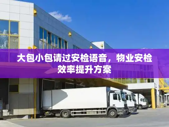 大包小包请过安检语音，物业安检效率提升方案