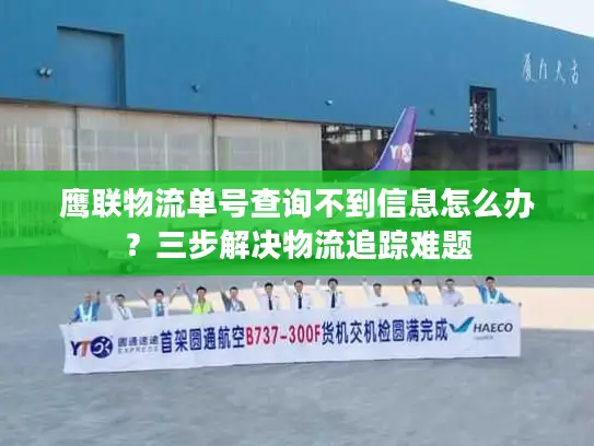 鹰联物流单号查询不到信息怎么办？三步解决物流追踪难题