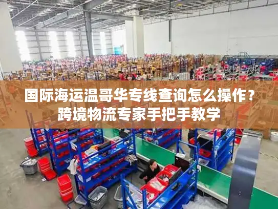 国际海运温哥华专线查询怎么操作？跨境物流专家手把手教学