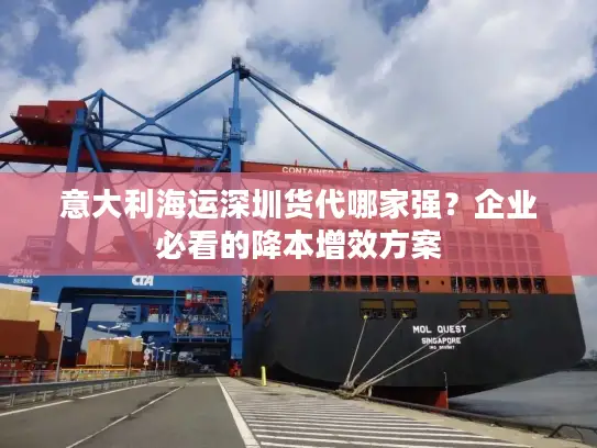 意大利海运深圳货代哪家强？企业必看的降本增效方案