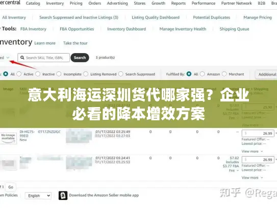 意大利海运深圳货代哪家强？企业必看的降本增效方案