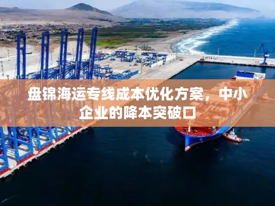 盘锦海运专线成本优化方案，中小企业的降本突破口