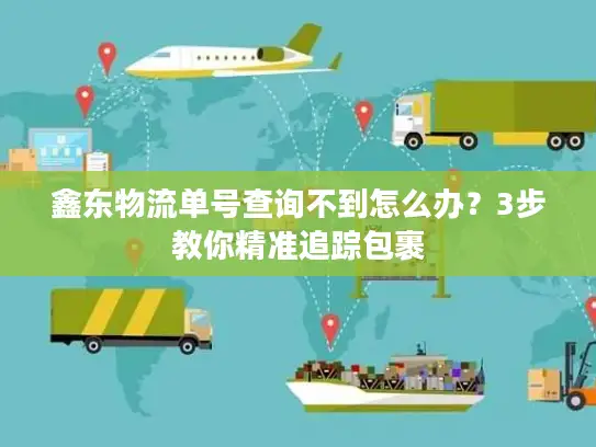 鑫东物流单号查询不到怎么办？3步教你精准追踪包裹