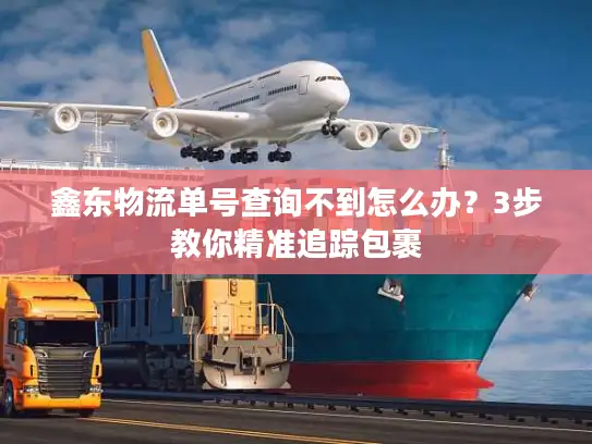 鑫东物流单号查询不到怎么办？3步教你精准追踪包裹