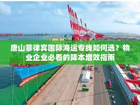 唐山菲律宾国际海运专线如何选？物业企业必看的降本增效指南