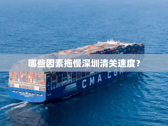 哪些因素拖慢深圳清关速度？