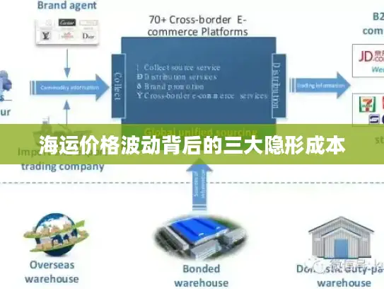 海运价格波动背后的三大隐形成本