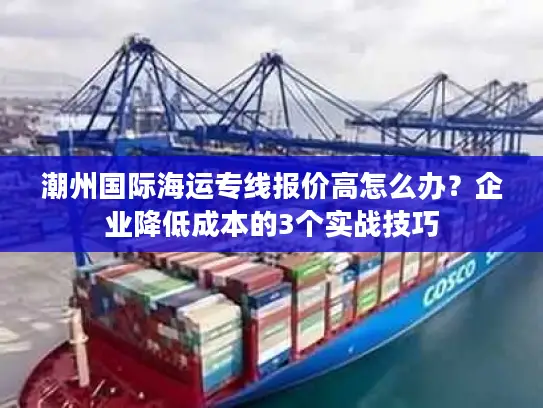 潮州国际海运专线报价高怎么办？企业降低成本的3个实战技巧