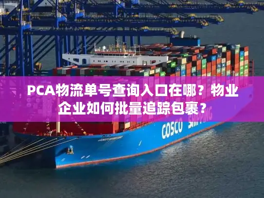 PCA物流单号查询入口在哪？物业企业如何批量追踪包裹？