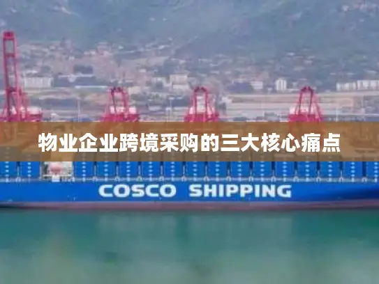 物业企业跨境采购的三大核心痛点