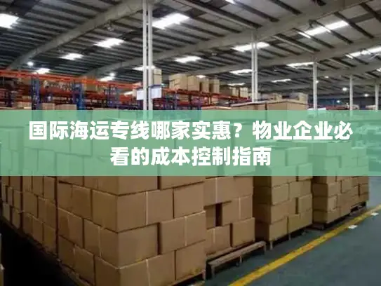 国际海运专线哪家实惠？物业企业必看的成本控制指南
