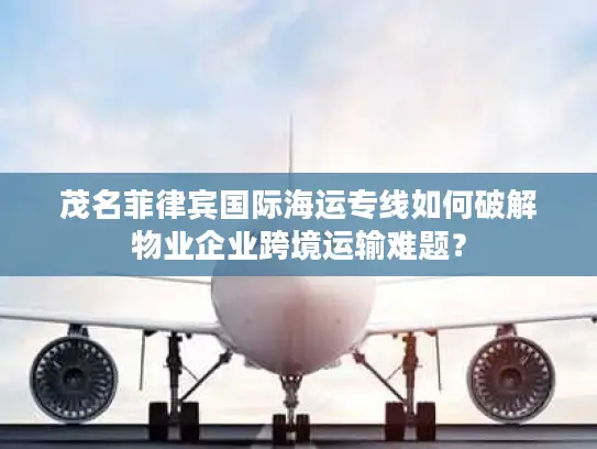 茂名菲律宾国际海运专线如何破解物业企业跨境运输难题？