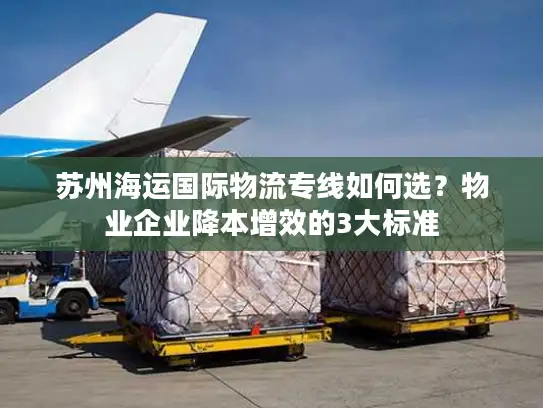 苏州海运国际物流专线如何选？物业企业降本增效的3大标准
