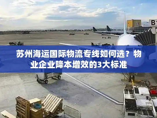 苏州海运国际物流专线如何选？物业企业降本增效的3大标准