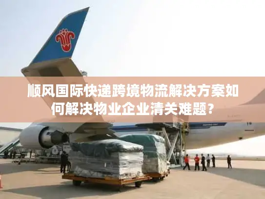 顺风国际快递跨境物流解决方案如何解决物业企业清关难题？