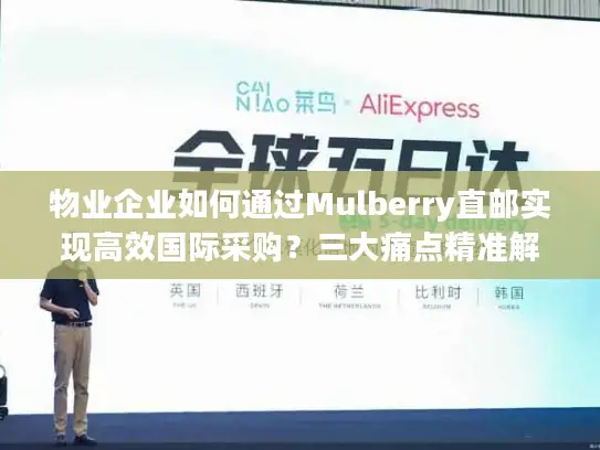 物业企业如何通过Mulberry直邮实现高效国际采购？三大痛点精准解析
