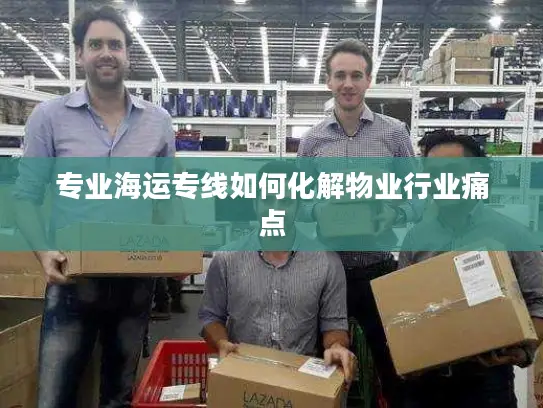 专业海运专线如何化解物业行业痛点