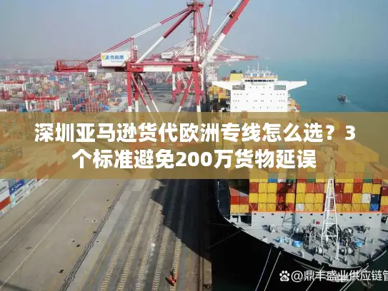 深圳亚马逊货代欧洲专线怎么选？3个标准避免200万货物延误
