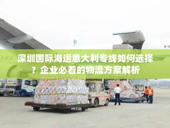 深圳国际海运意大利专线如何选择？企业必看的物流方案解析