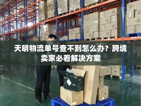 天明物流单号查不到怎么办？跨境卖家必看解决方案