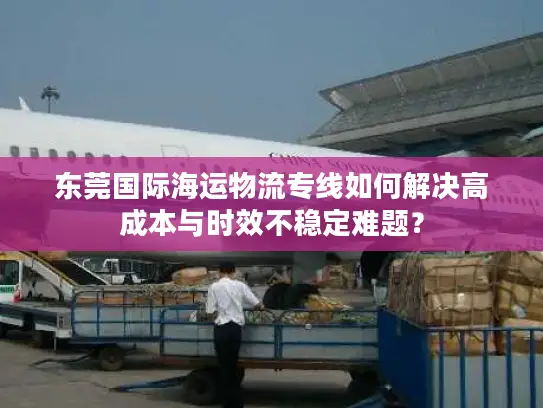 东莞国际海运物流专线如何解决高成本与时效不稳定难题？