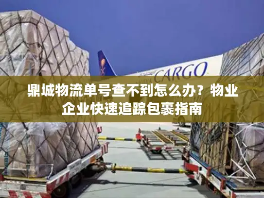鼎城物流单号查不到怎么办？物业企业快速追踪包裹指南