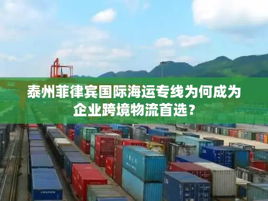 泰州菲律宾国际海运专线为何成为企业跨境物流首选？